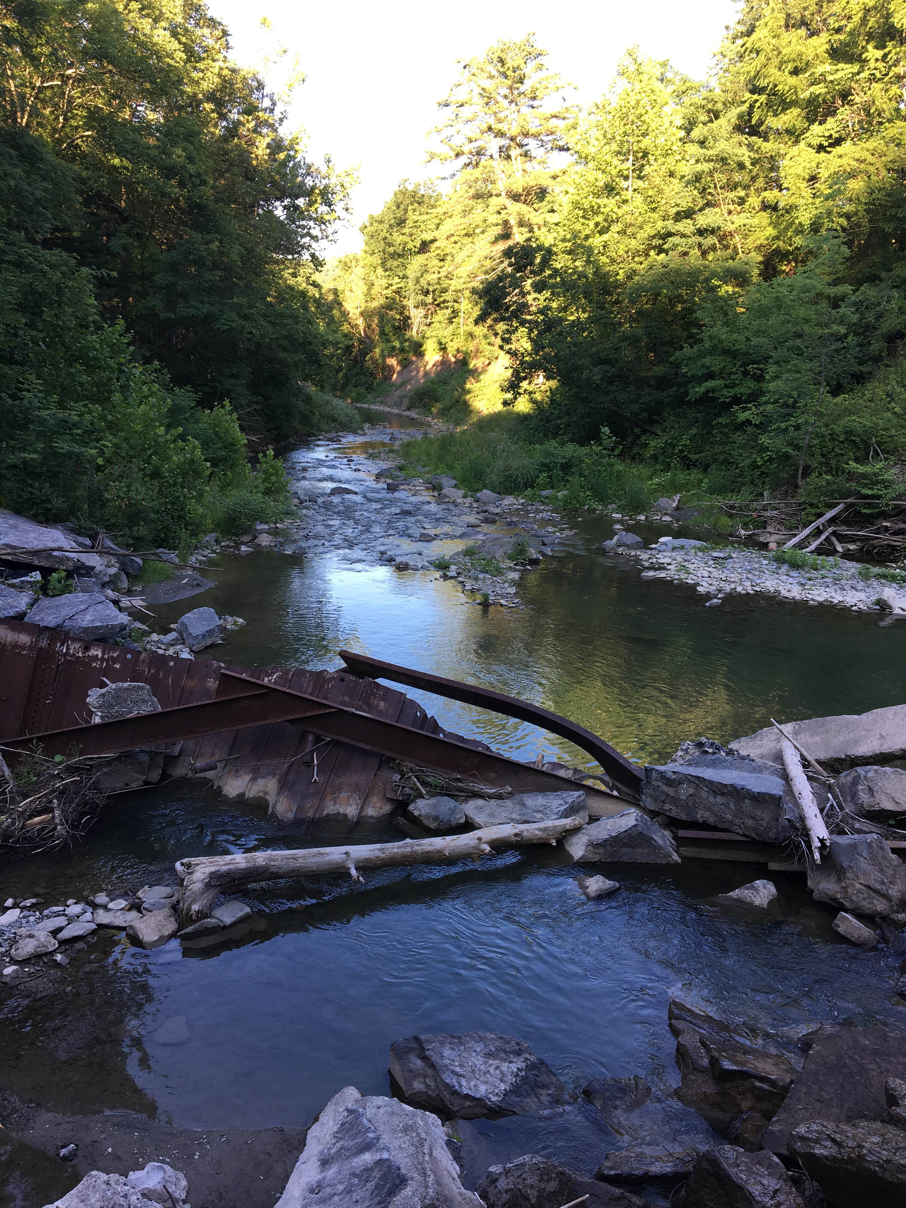 Camper-submitted photo at Blueberry Patch Campground — Green Mountain & Finger Lakes National Forests near Brooktondale, NY