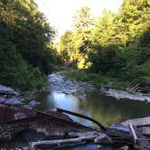 Review photo of Blueberry Patch Campground — Green Mountain & Finger Lakes National Forests by Kate K., August 1, 2019