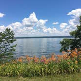 Review photo of Blueberry Patch Campground — Green Mountain & Finger Lakes National Forests by Kate K., August 1, 2019