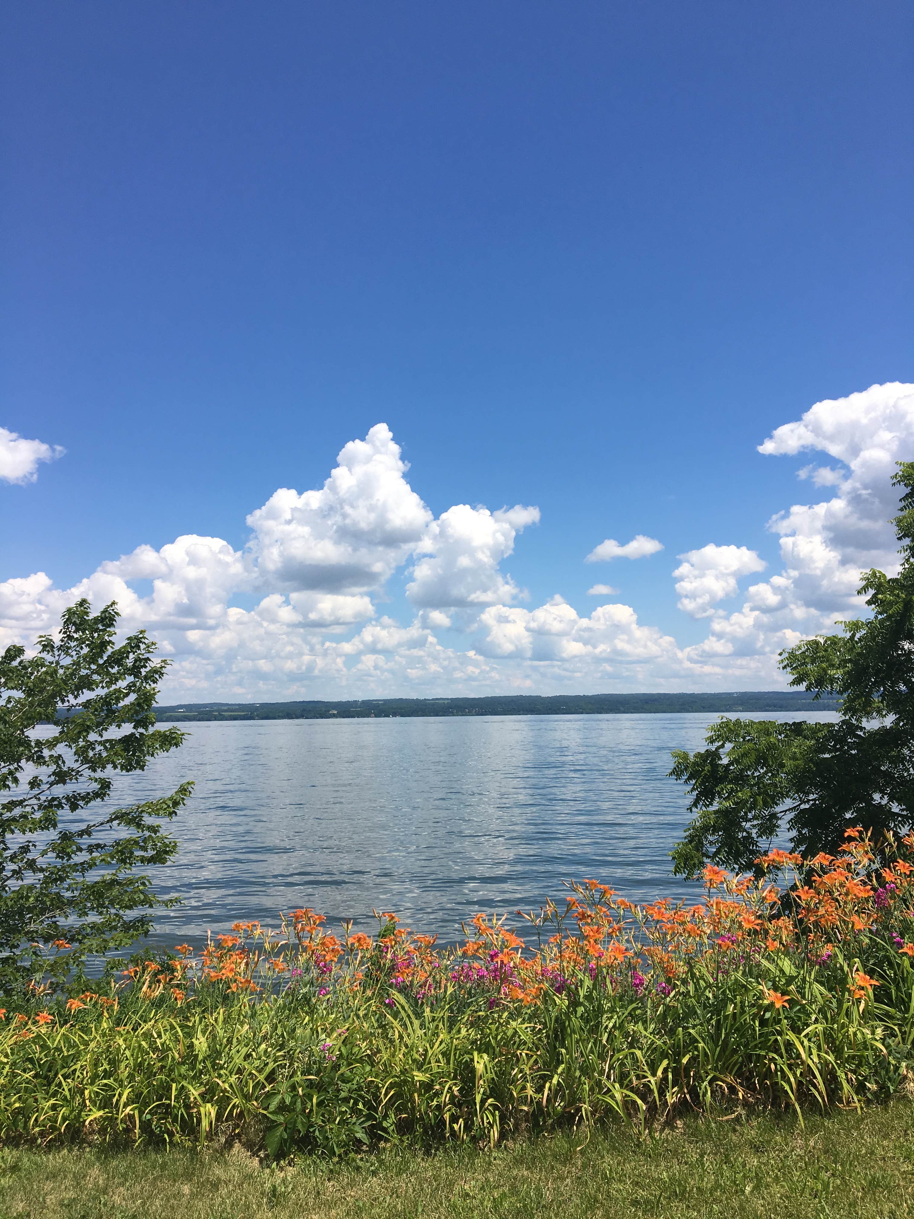 View All