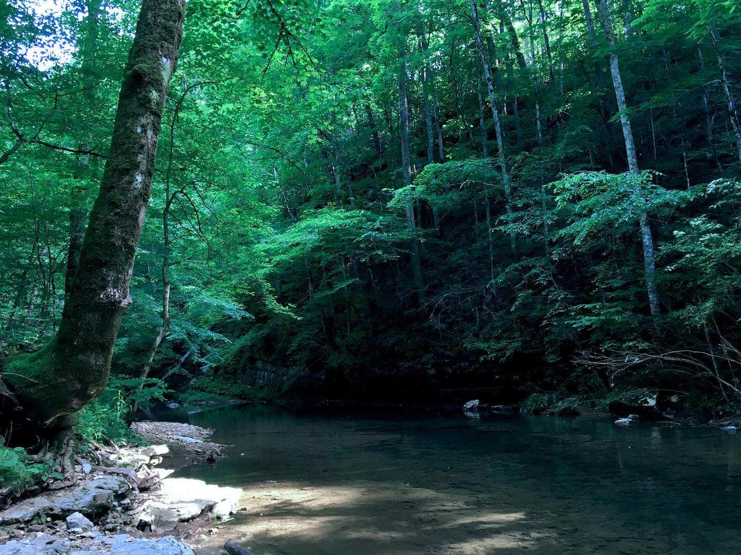 Camper-submitted photo at Belle and Beau Acres near Cookeville, TN