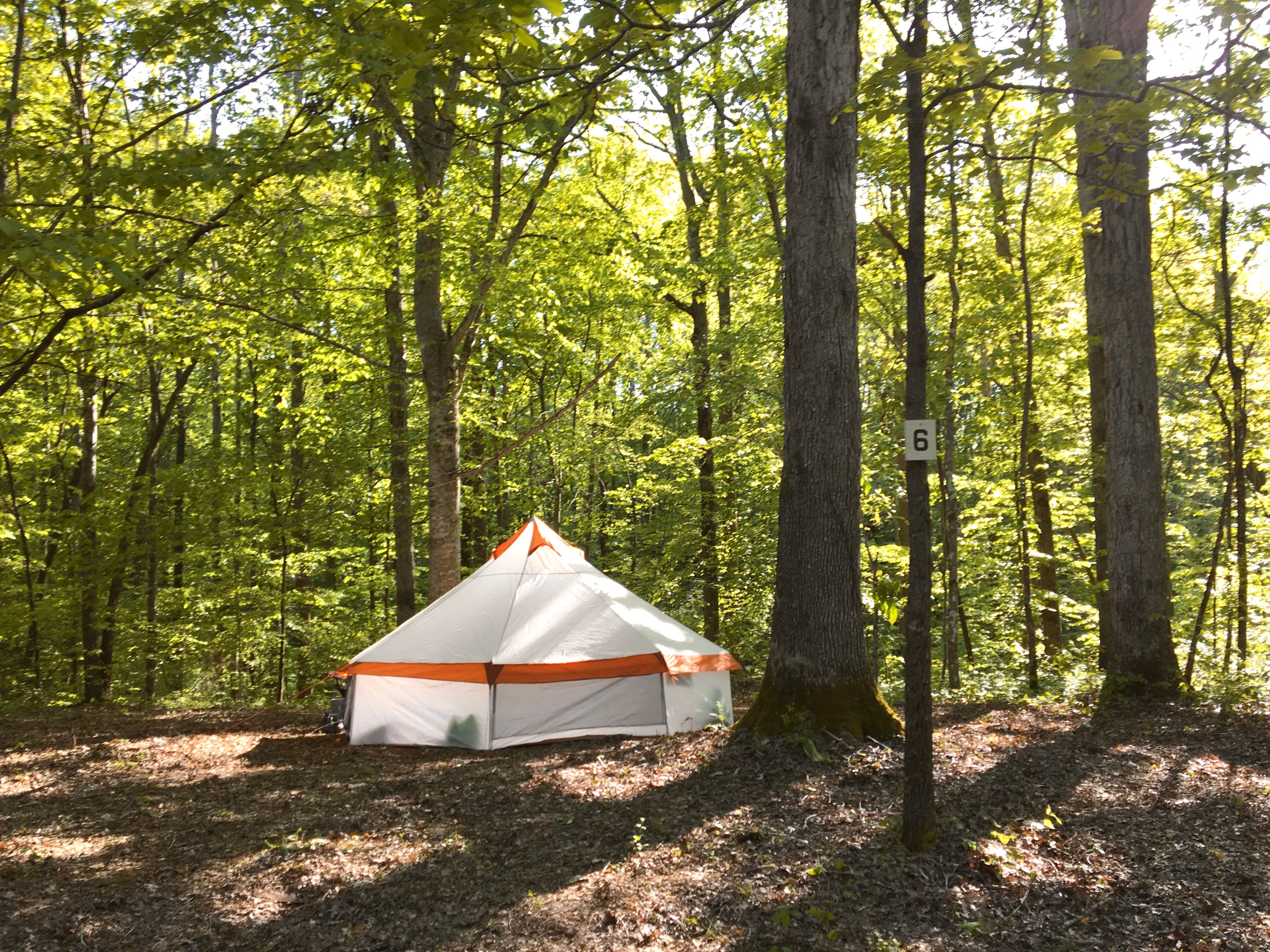 Christine K.'s photo at Belle and Beau Acres near Monterey, TN