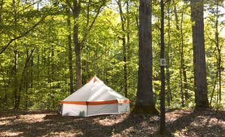 Christine K.'s photo at Belle and Beau Acres near Lancaster, TN