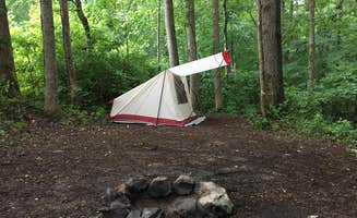 Christine K.'s photo at Belle and Beau Acres near Gainesboro, TN