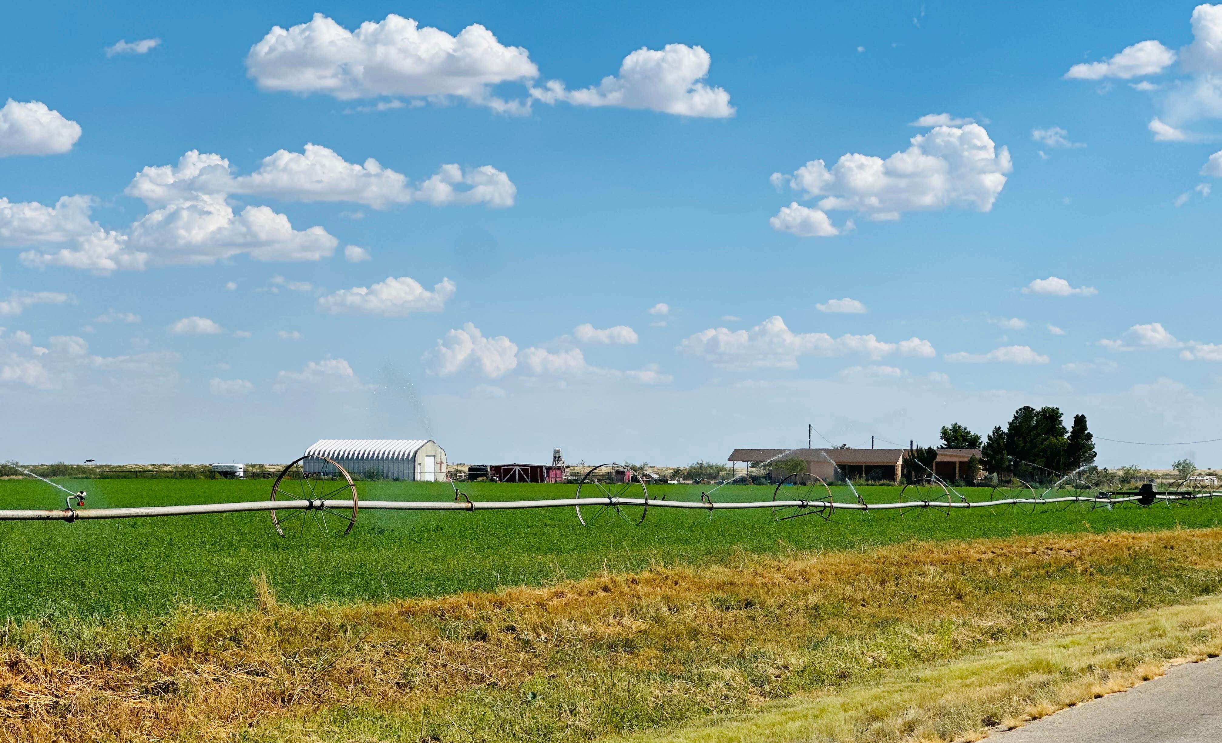 Camping near Carlsbad KOA: The Guell Family Funny Farm Campground, Artesia, New Mexico
