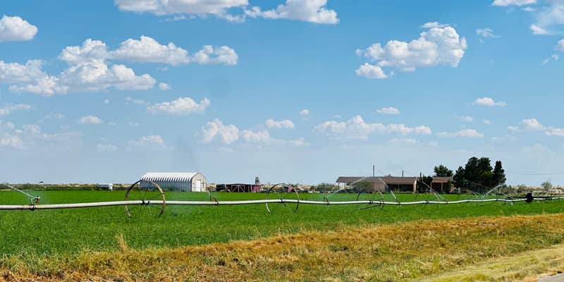 Camper submitted image from The Guell Family Funny Farm Campground