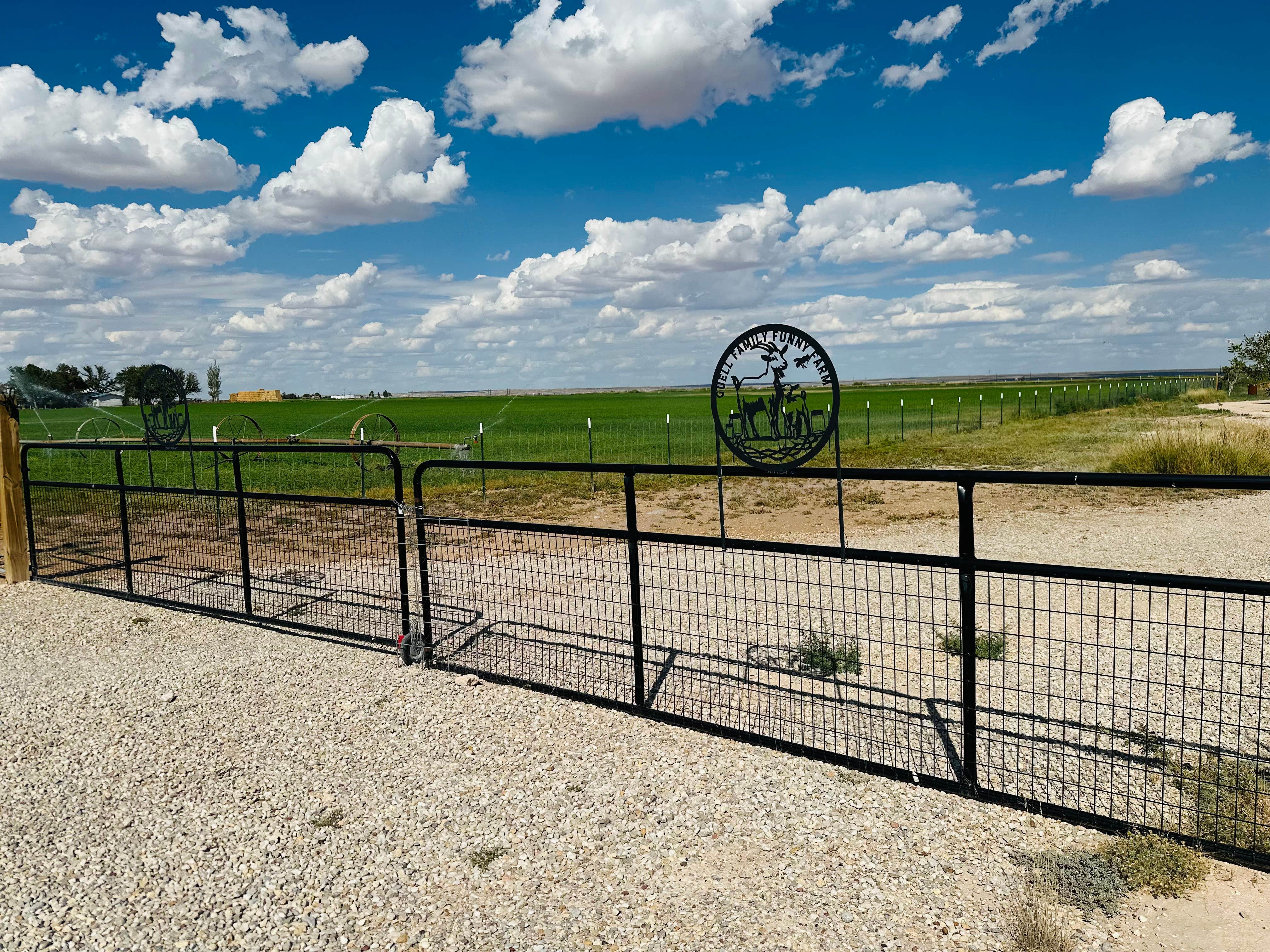 Camper-submitted photo at The Guell Family Funny Farm Campground near Roswell, NM