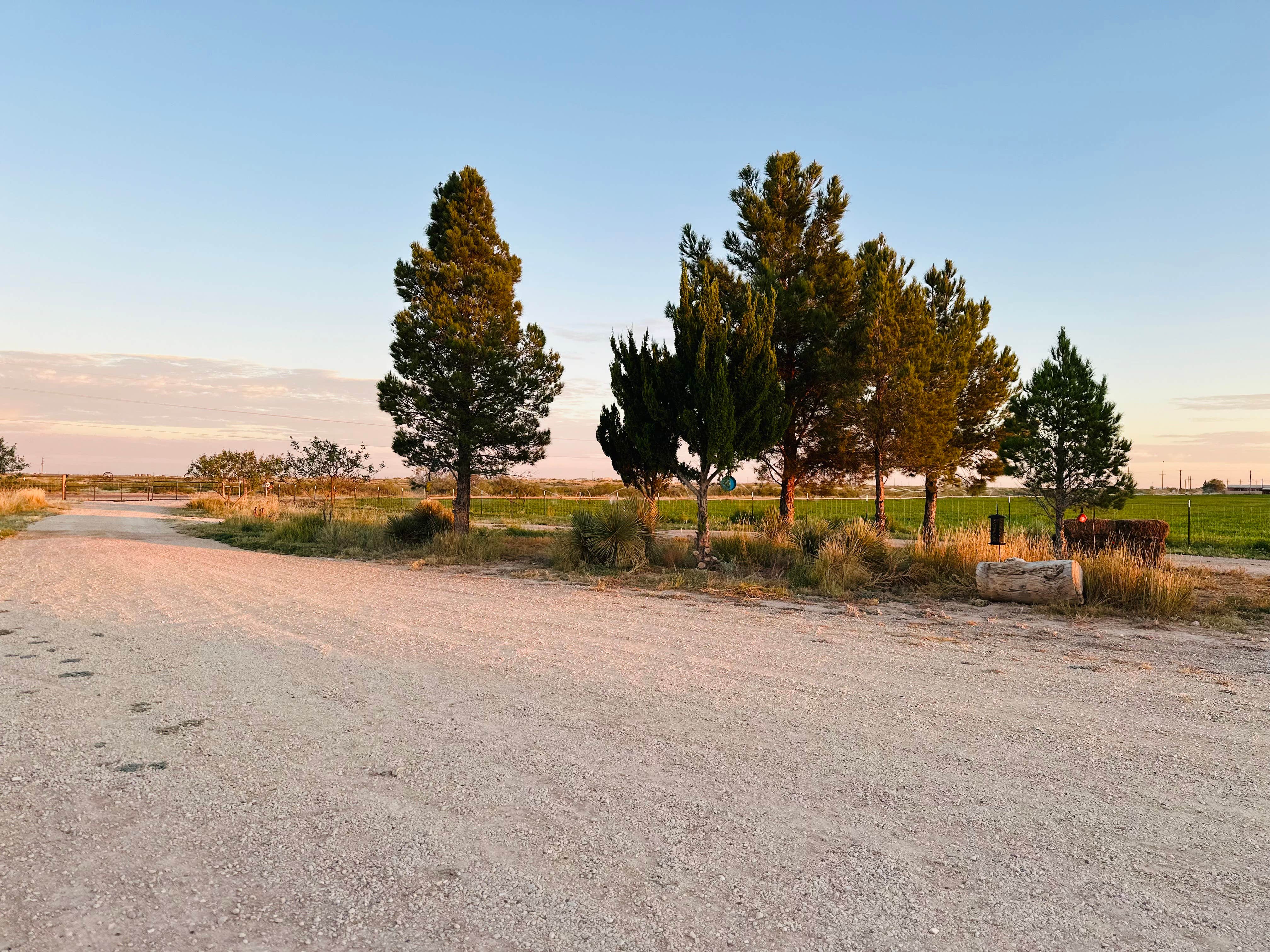 Camper-submitted photo at The Guell Family Funny Farm Campground near Roswell, NM