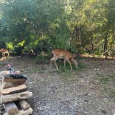 Review photo of Big Bend Campground by Lee G., September 2, 2025