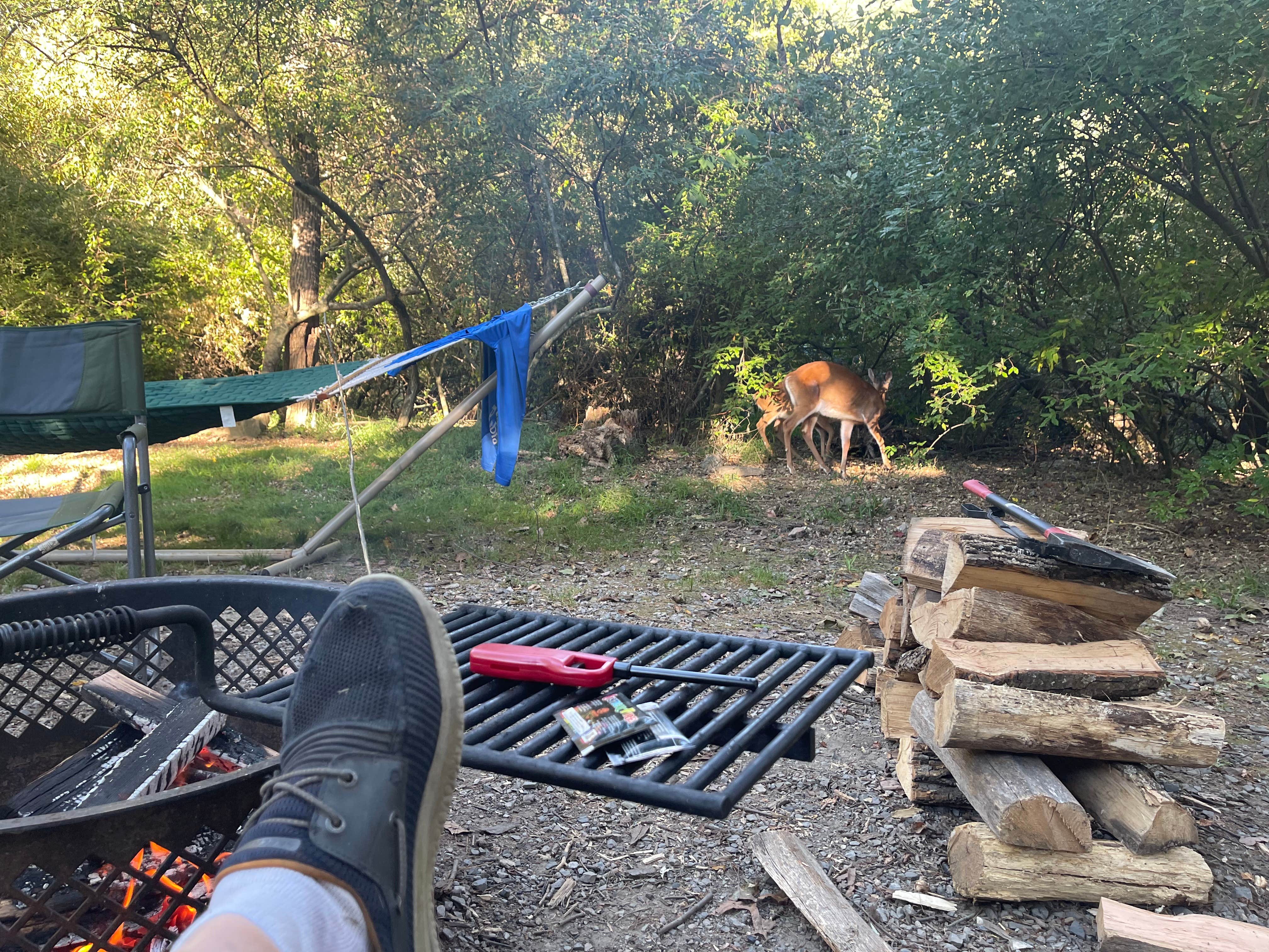 Lee G.'s photo at Big Bend Campground near Upper Tract, WV