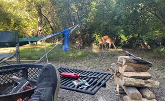 Lee G.'s photo at Big Bend Campground near Upper Tract, WV