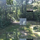 Review photo of Crow Wing State Park Campground by Allison  K., August 1, 2019