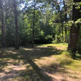 Review photo of Crow Wing State Park Campground by Allison  K., August 1, 2019