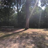 Review photo of Crow Wing State Park Campground by Allison  K., August 1, 2019