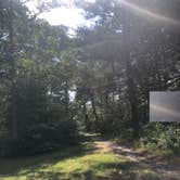 Review photo of Crow Wing State Park Campground by Allison  K., August 1, 2019