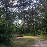 Review photo of Crow Wing State Park Campground by Allison  K., August 1, 2019