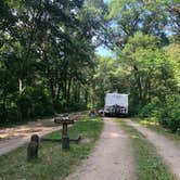 Review photo of Crow Wing State Park Campground by Allison  K., August 1, 2019