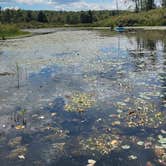 Review photo of Blackwater Falls State Park Campground by Aileen C., September 3, 2025