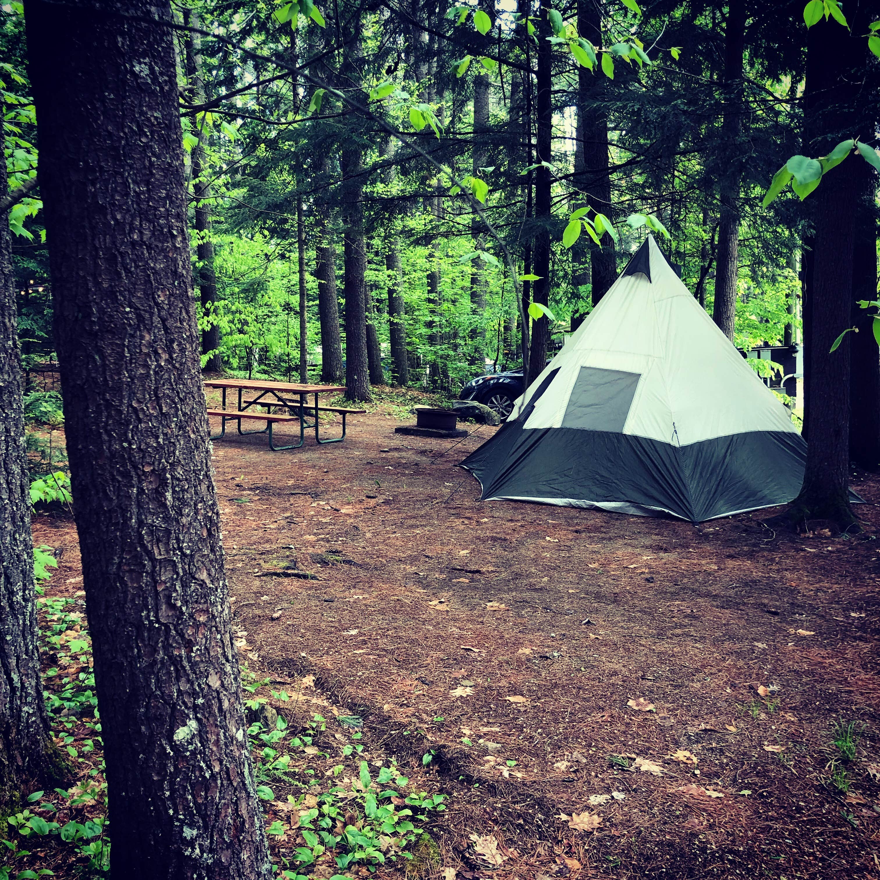 Tina C.'s photo at Rancho pines Campground near Huletts Landing, NY