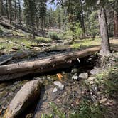 Review photo of Mammoth Dispersed by Ryan F., September 3, 2025