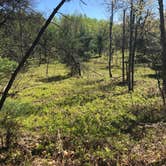 Review photo of Lake Margrethe State Forest Campground by Kate K., August 1, 2019