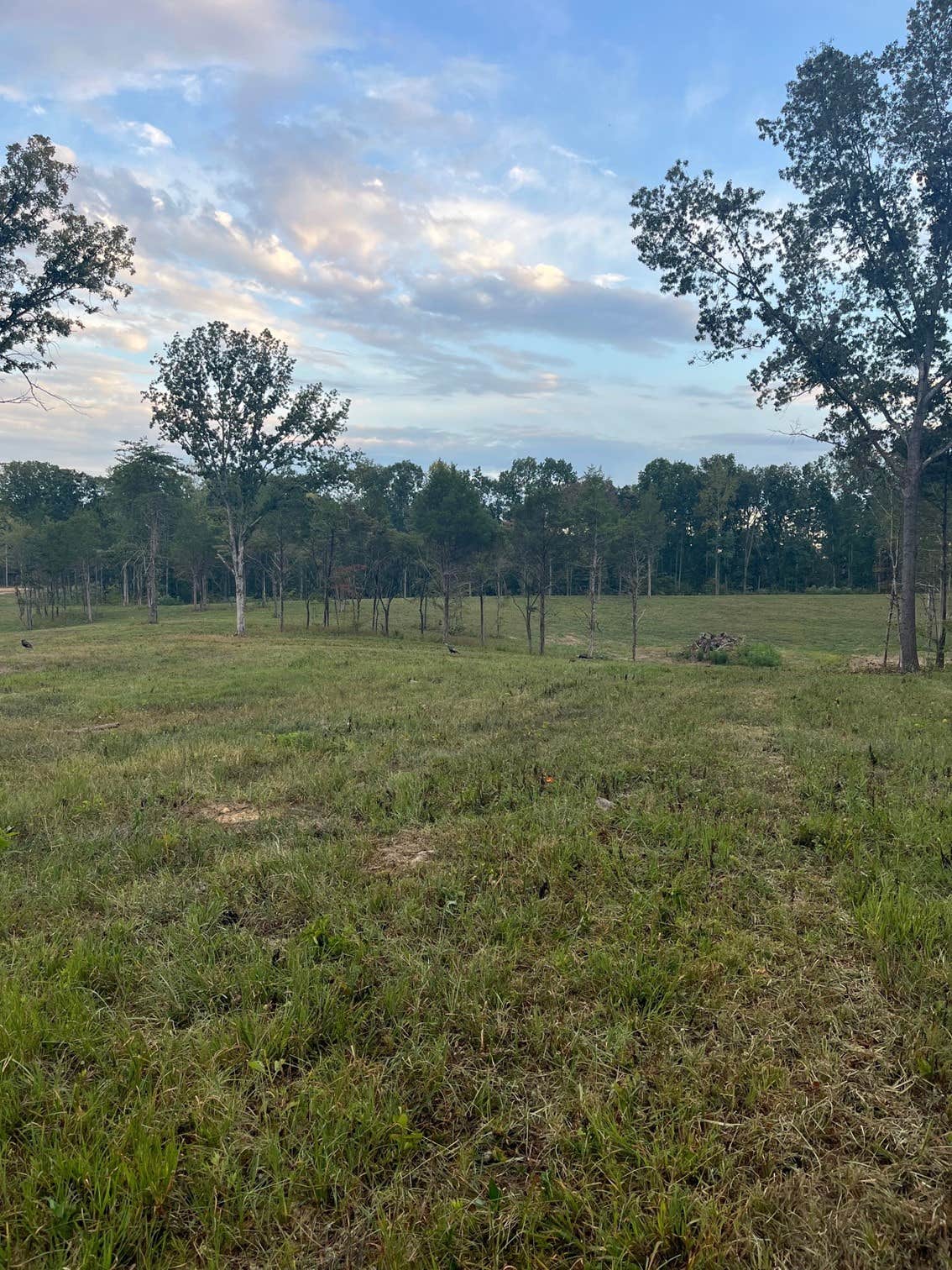 Camper-submitted photo at The Back 40 near White Bluff, TN