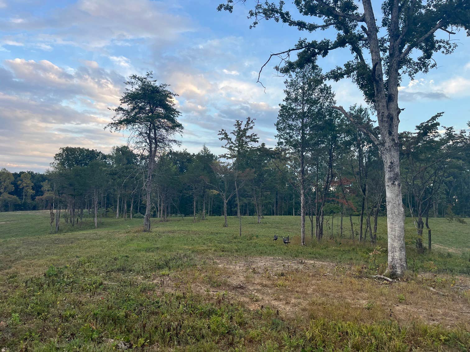 Camping near Piney River Resort: The Back 40, White Bluff, Tennessee