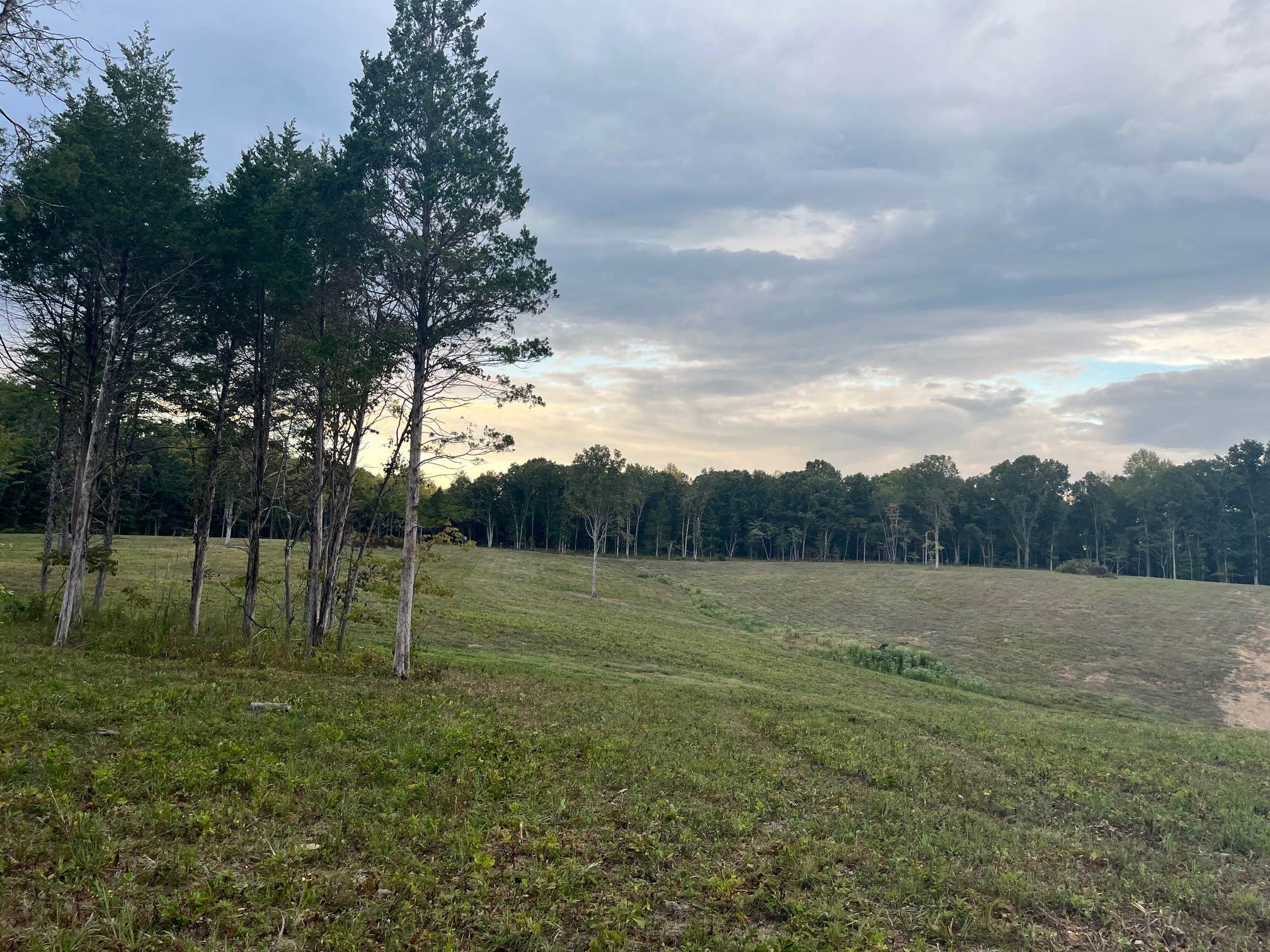 Camper-submitted photo at The Back 40 near White Bluff, TN