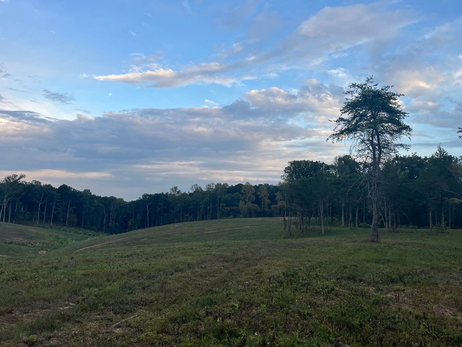 Camper-submitted photo at The Back 40 near White Bluff, TN