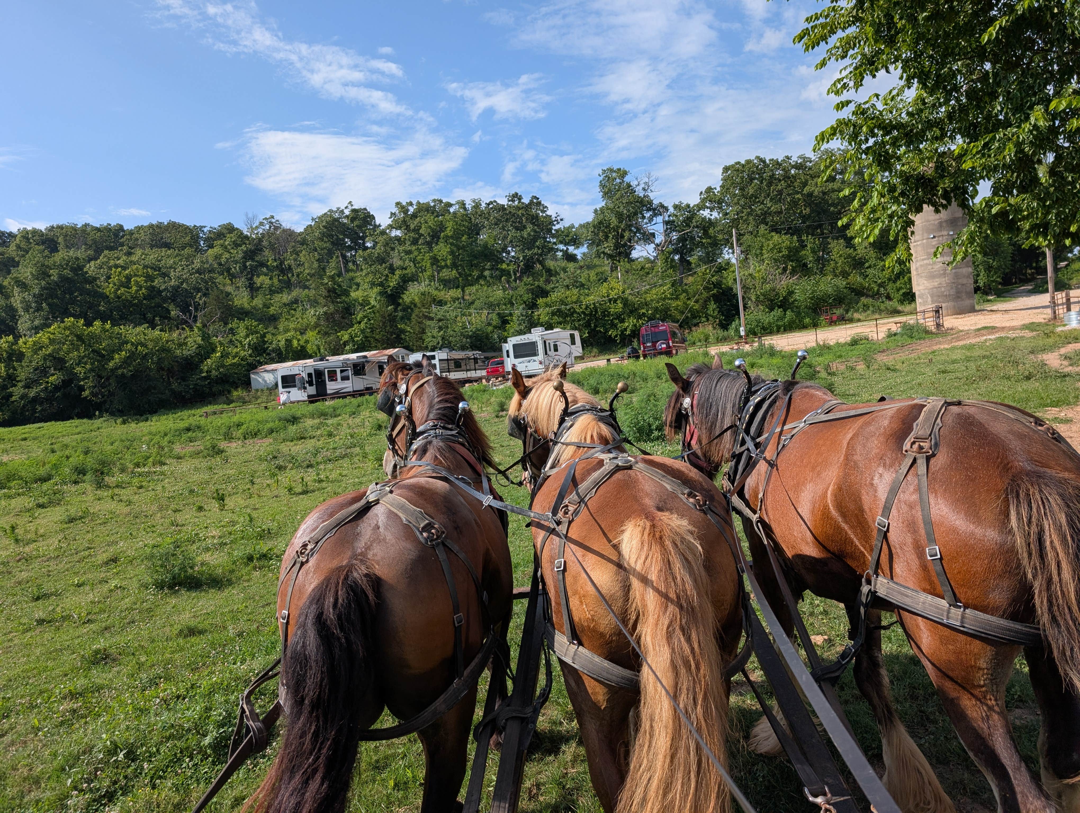 Camping near Swan Creek: Clydesdale Experience & campgrounds, Bradleyville, Missouri