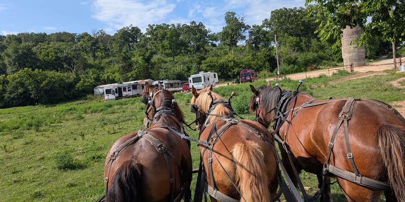 Camper submitted image from Clydesdale Experience & campgrounds