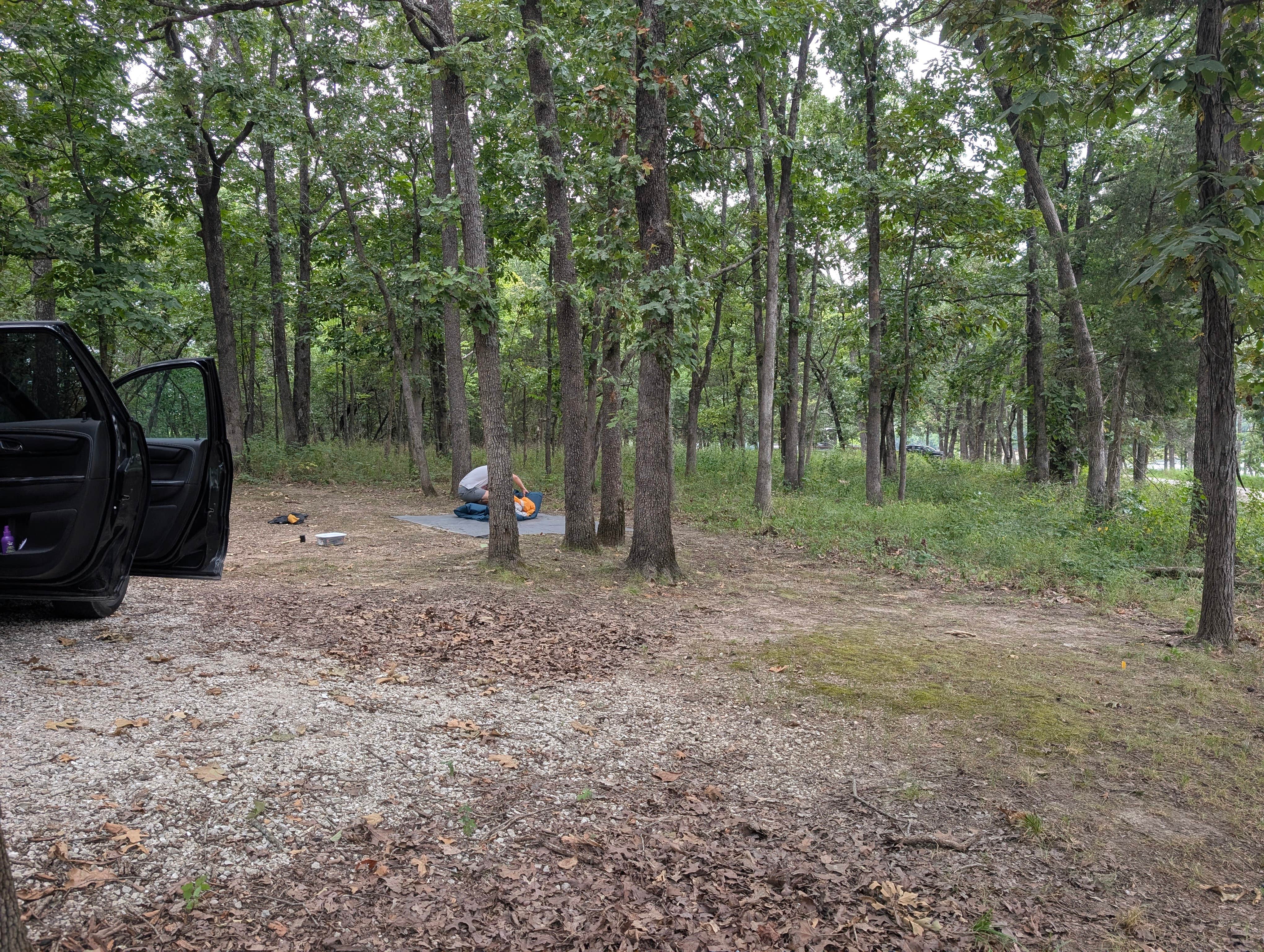 Camper-submitted photo at Orleans Trail near Stockton, MO