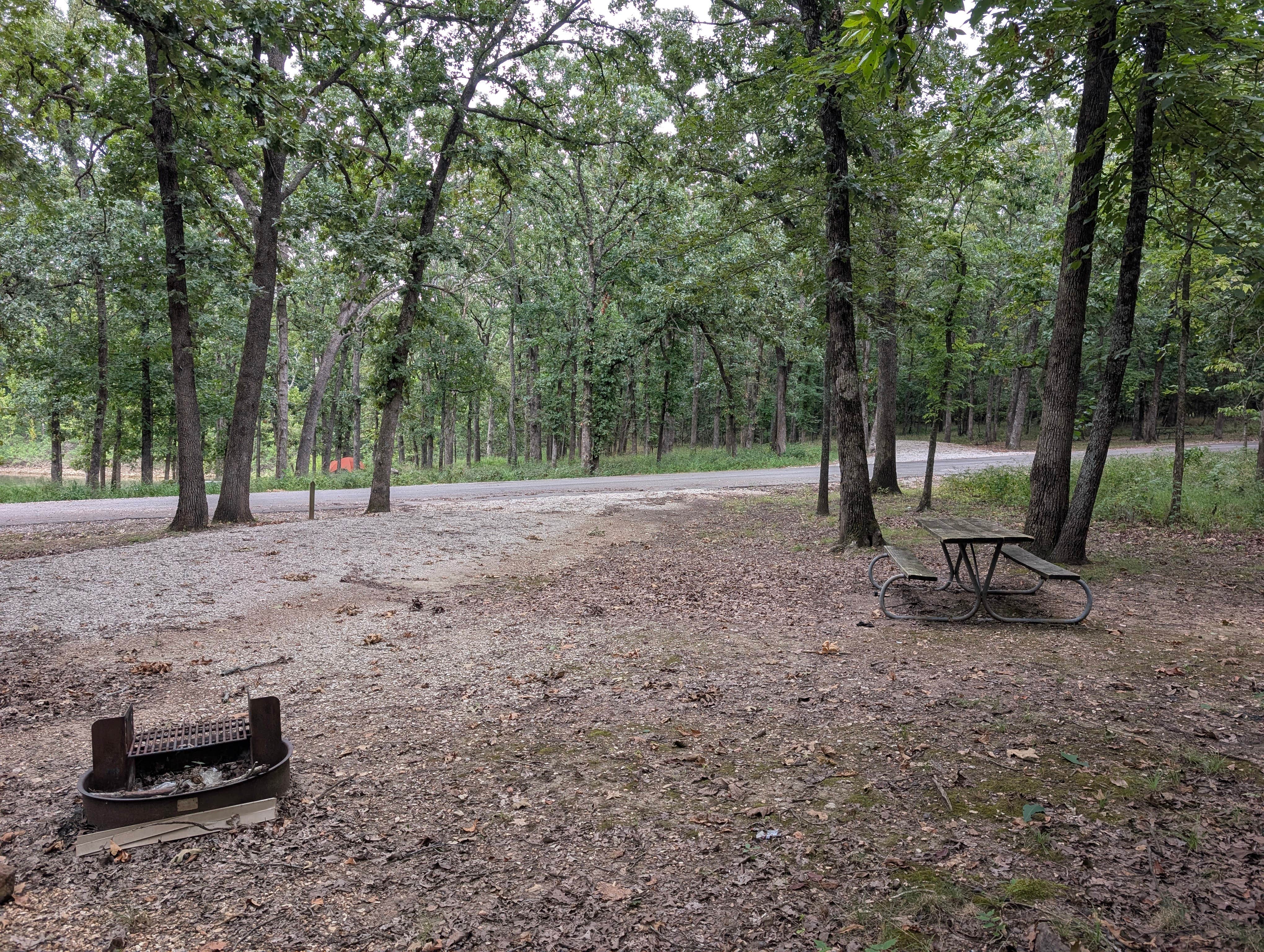 Camper-submitted photo at Orleans Trail near Stockton, MO