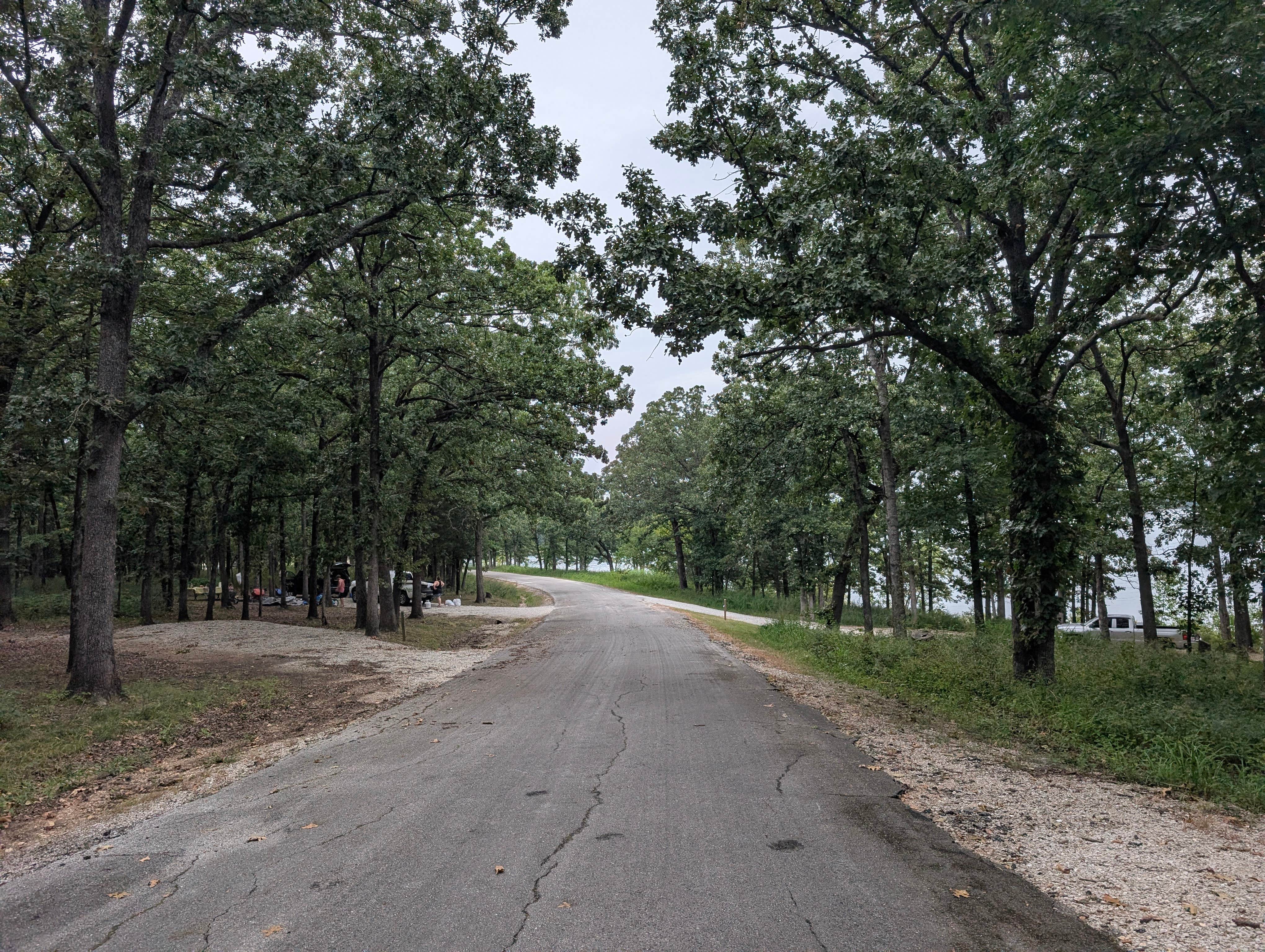 Camper-submitted photo at Orleans Trail near Stockton, MO