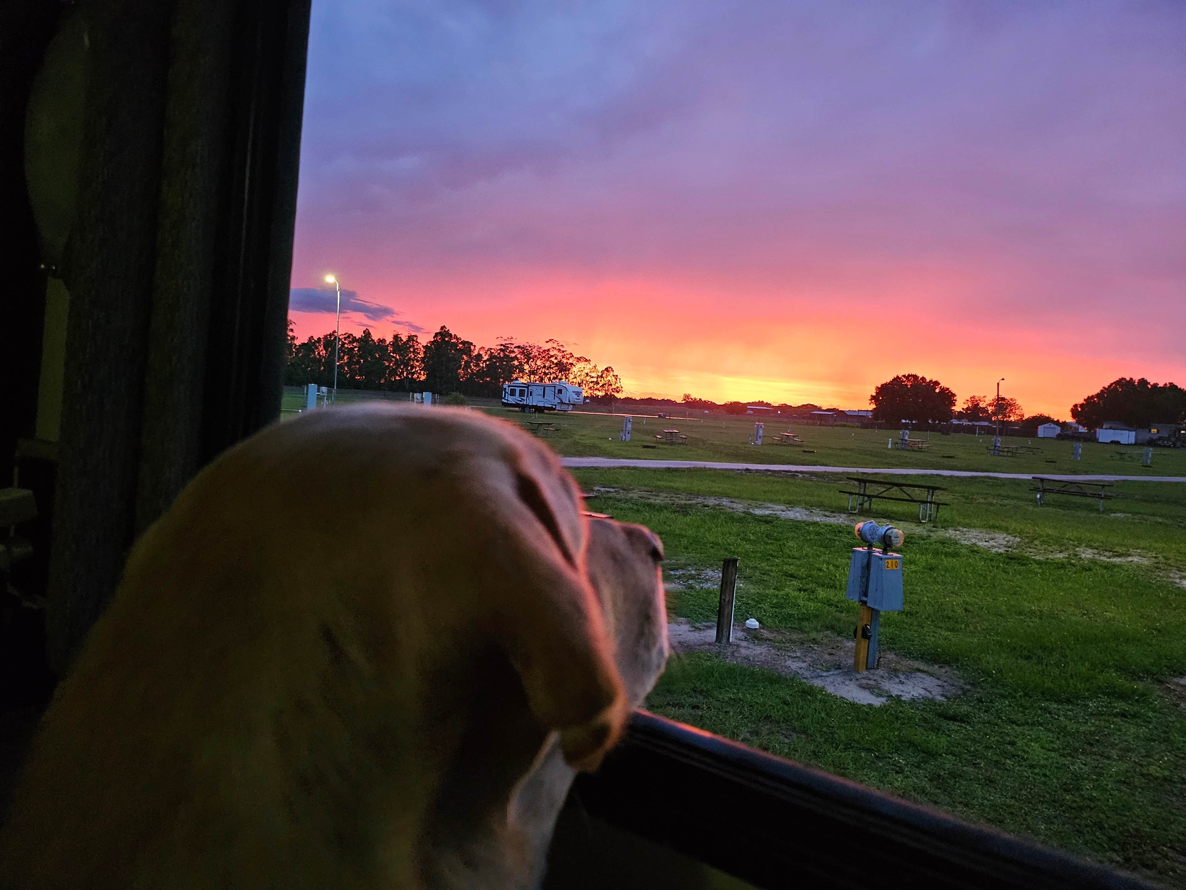 Moore Haven K.'s photo of camping with pets at Moore Haven KOA Holiday near Lake Okeechobee