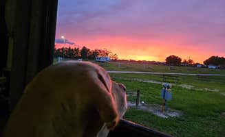Moore Haven K.'s photo of camping with pets at Moore Haven KOA Holiday near Lake Okeechobee