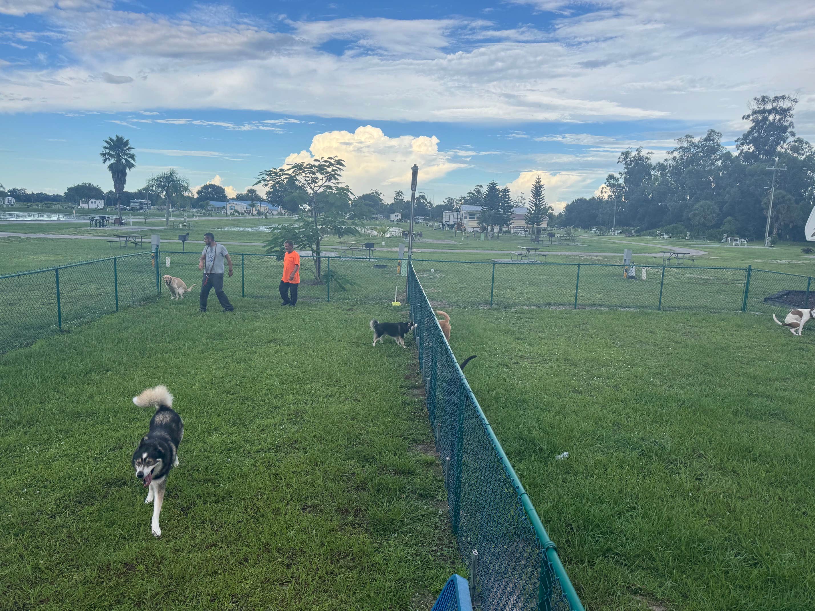 Moore Haven K.'s photo of camping with pets at Moore Haven KOA Holiday near Canal Point, FL
