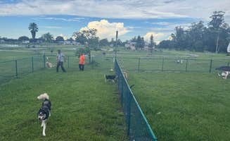 Moore Haven K.'s photo of camping with pets at Moore Haven KOA Holiday near Lake Placid, FL