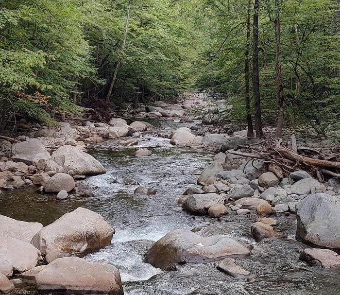 Camper submitted image from Big Creek Group Camp — Great Smoky Mountains National Park - 2