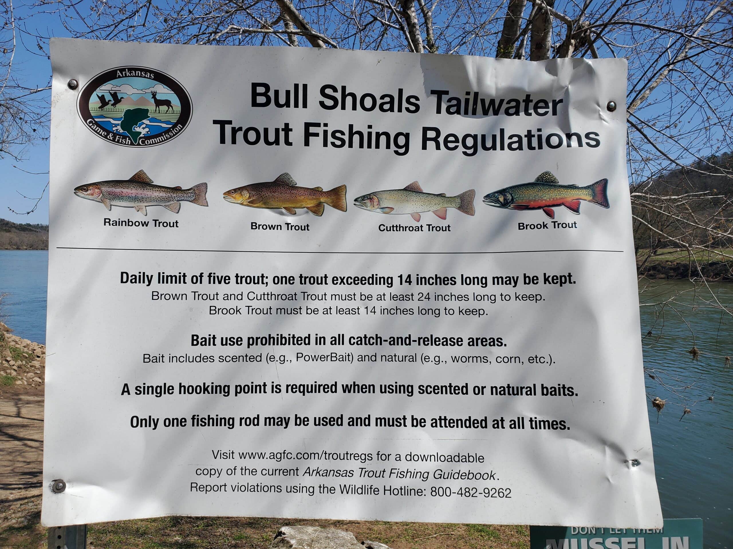 Shipps L.'s photo of camping with pets at Shipps Landing near West Plains, MO