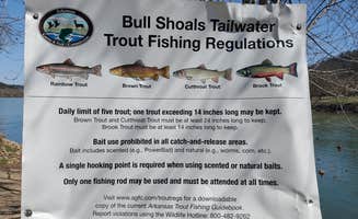 Shipps L.'s photo of camping with pets at Shipps Landing near Calico Rock, AR