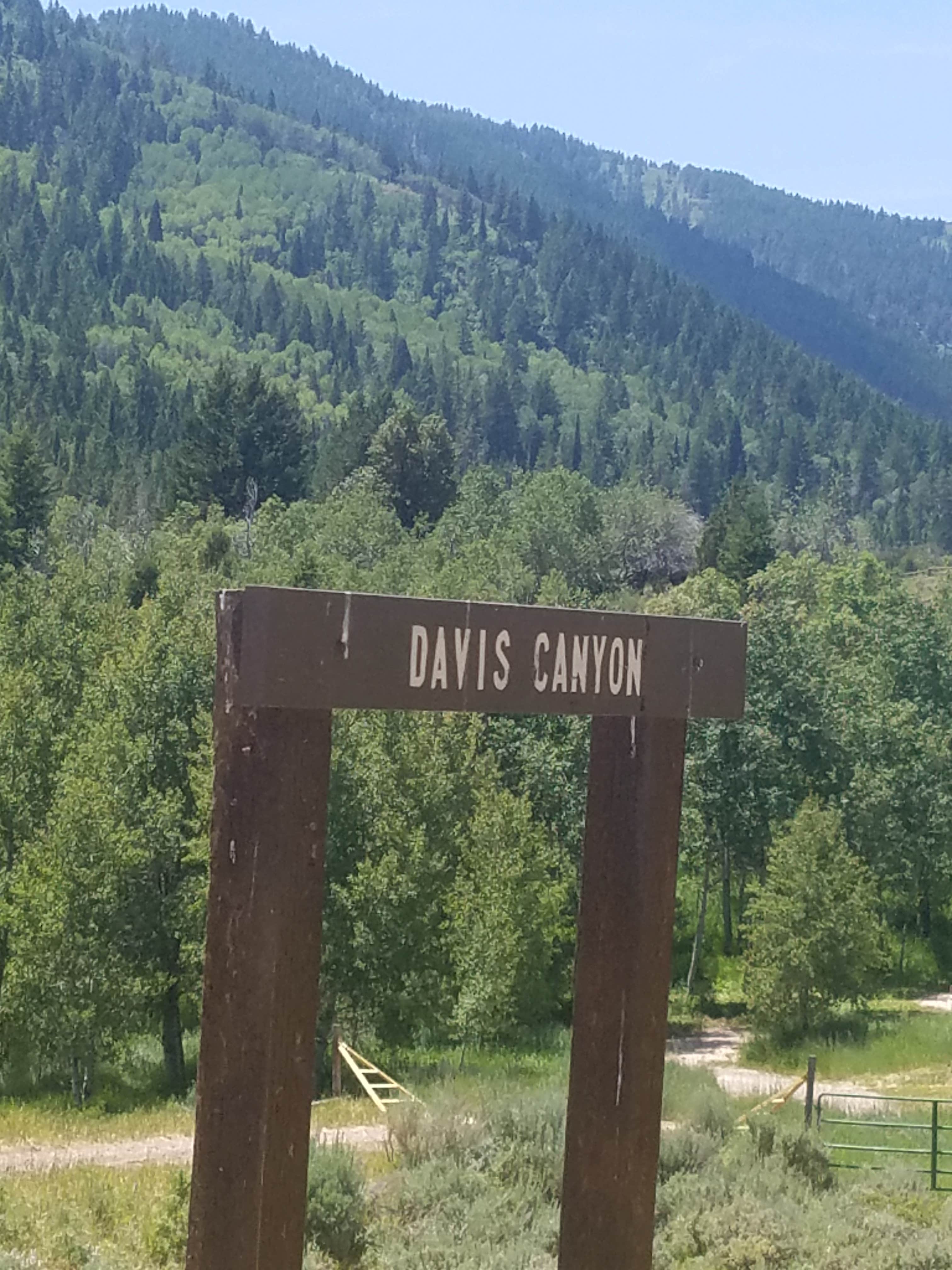 Escape To Idaho’s Wilderness: Davis Canyon Overflow Campground – Your Gateway To Adventure