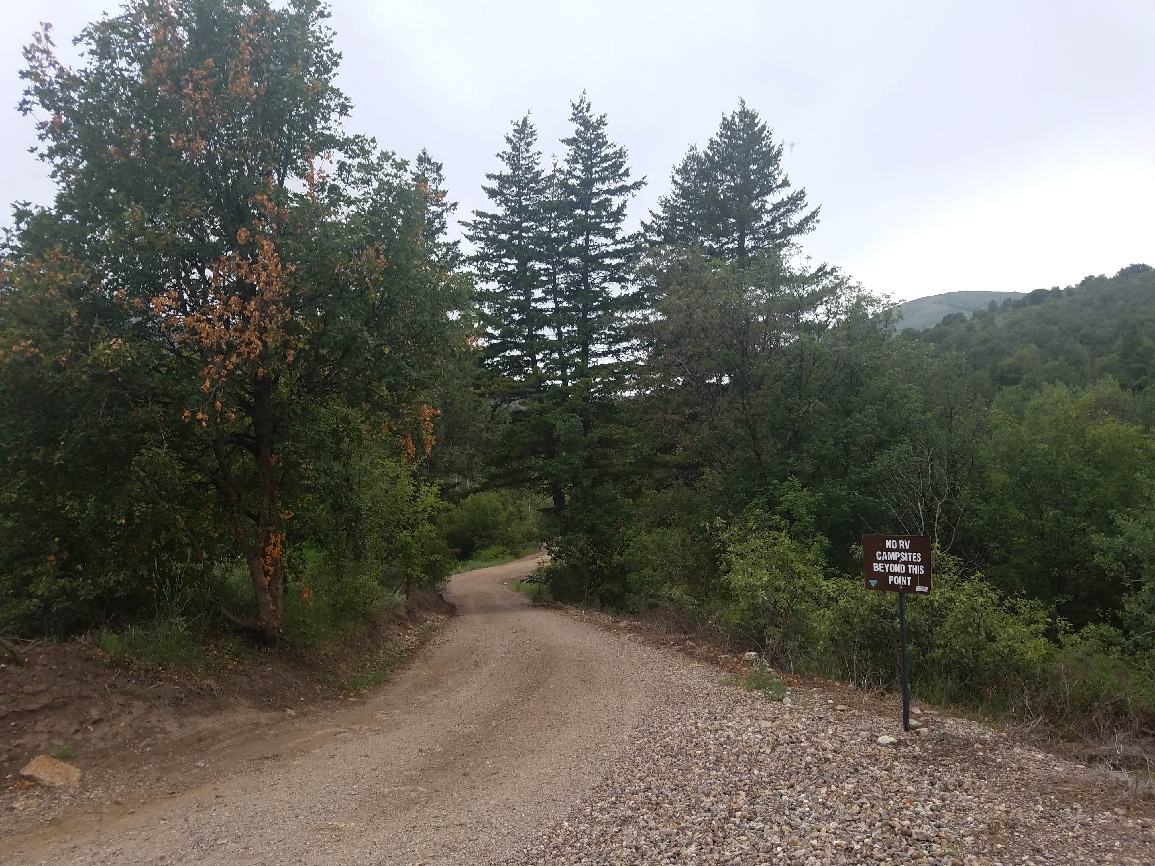 Camper-submitted photo at Goodenough Creek Campground near Rockland, ID