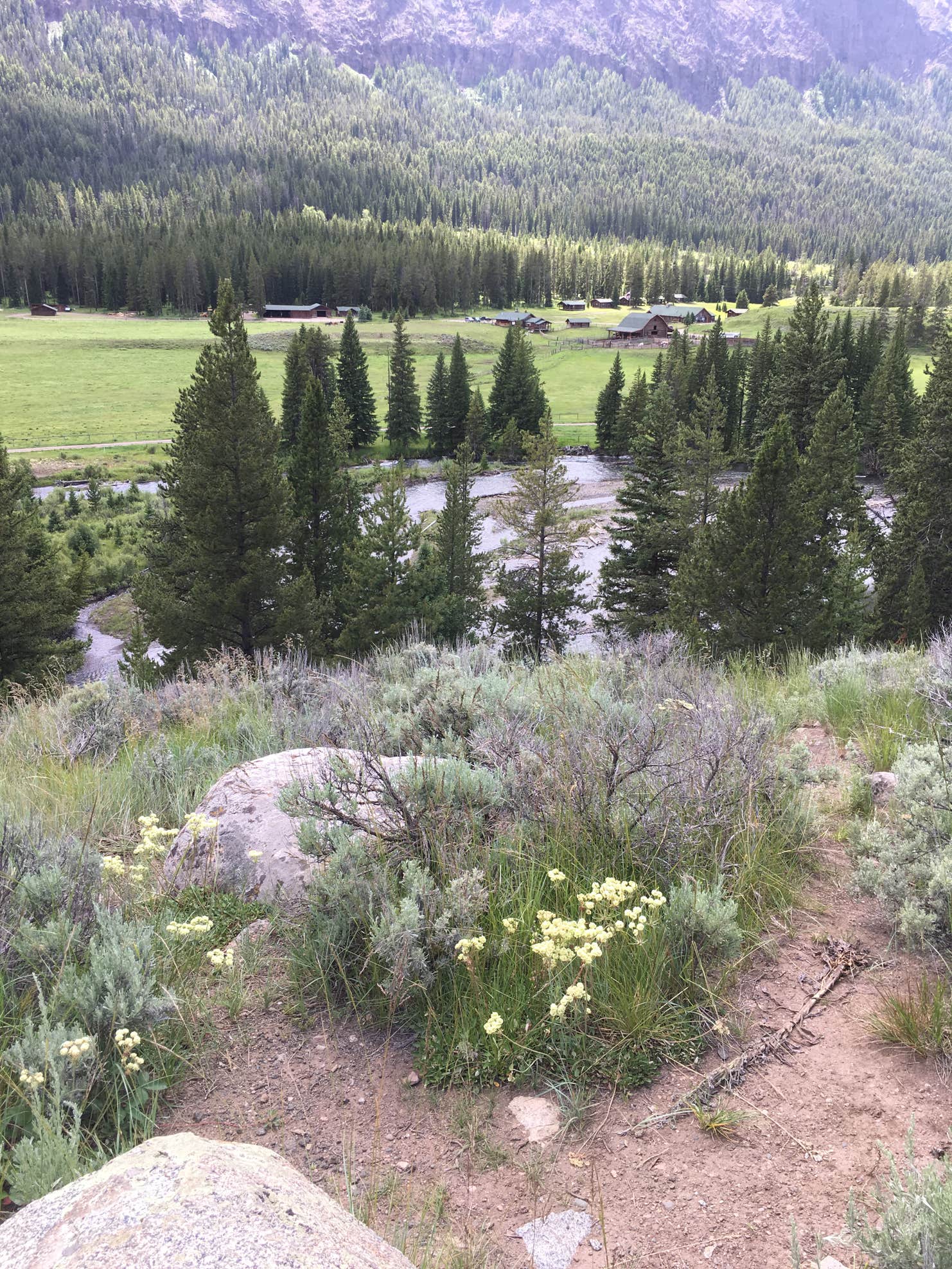 Crazy Creek The Dyrt