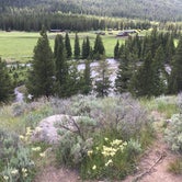 Review photo of Crazy Creek by Annie C., August 1, 2019