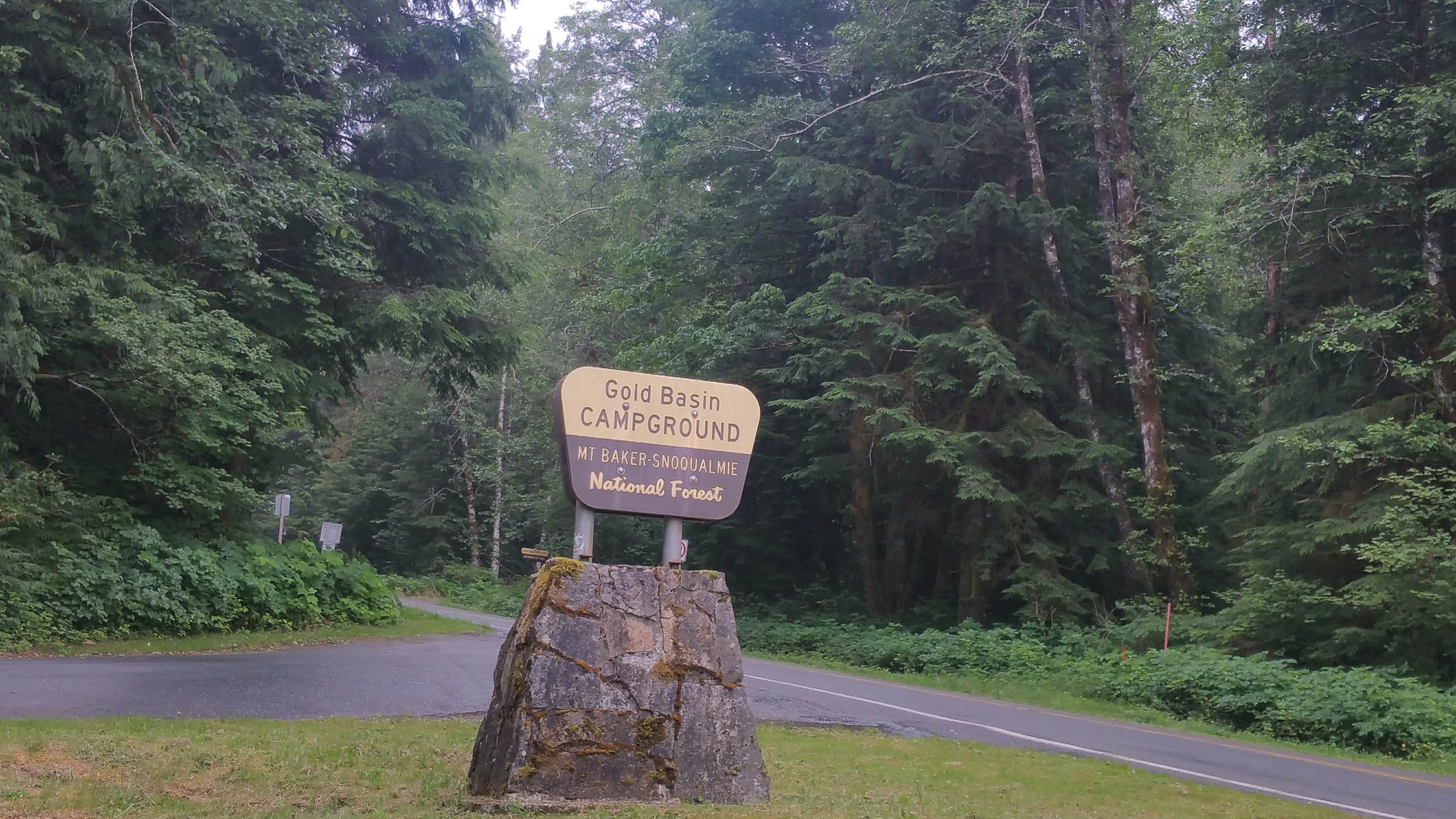 Camper submitted image from Gold Basin Campground - 3