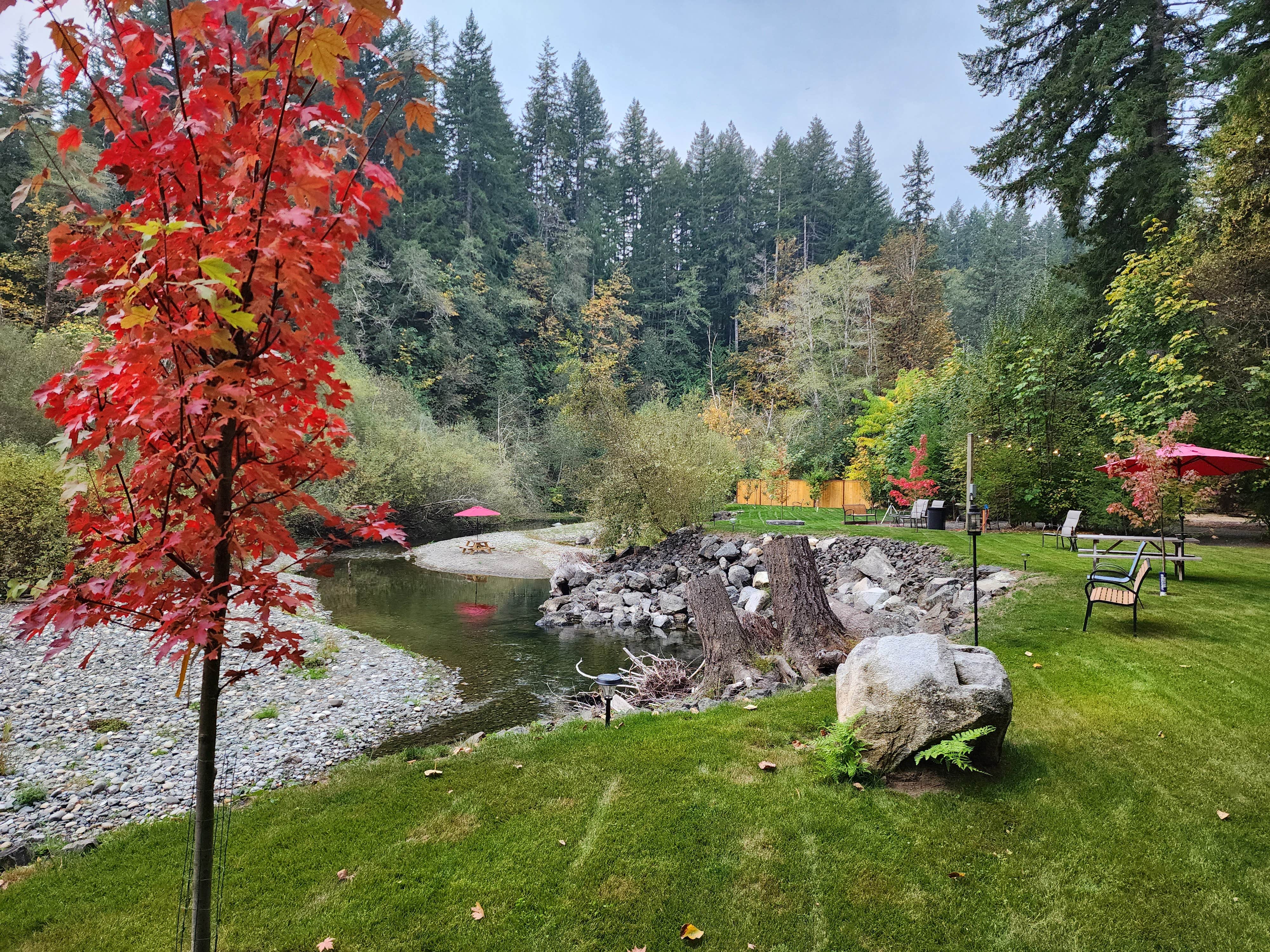 Camper submitted image from Tahuya River Lodge Campground - 1