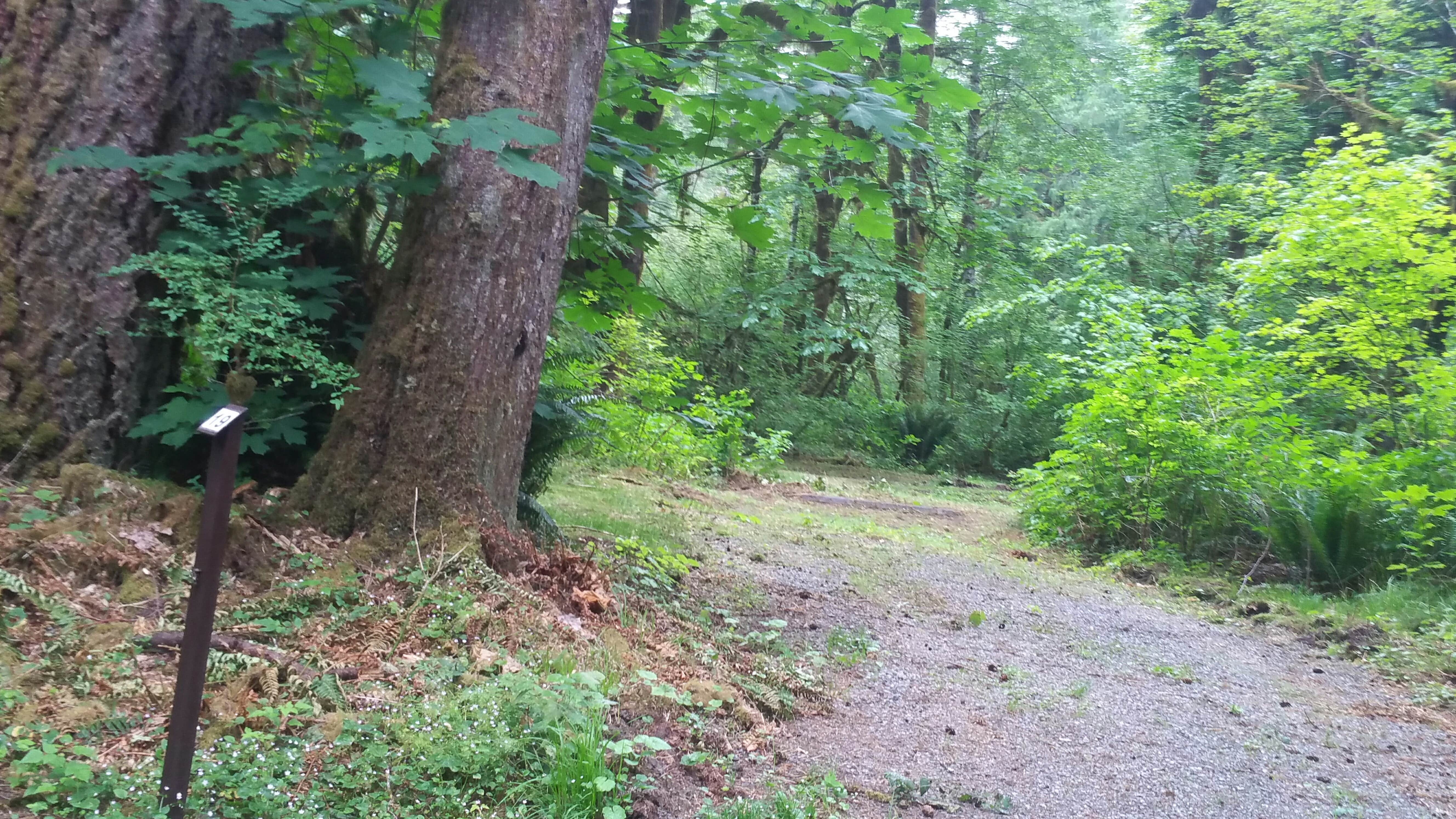 Camper submitted image from Gold Basin Campground - 5