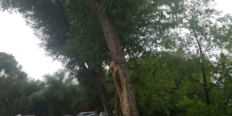 Camper submitted image from Lava Hot Springs West KOA