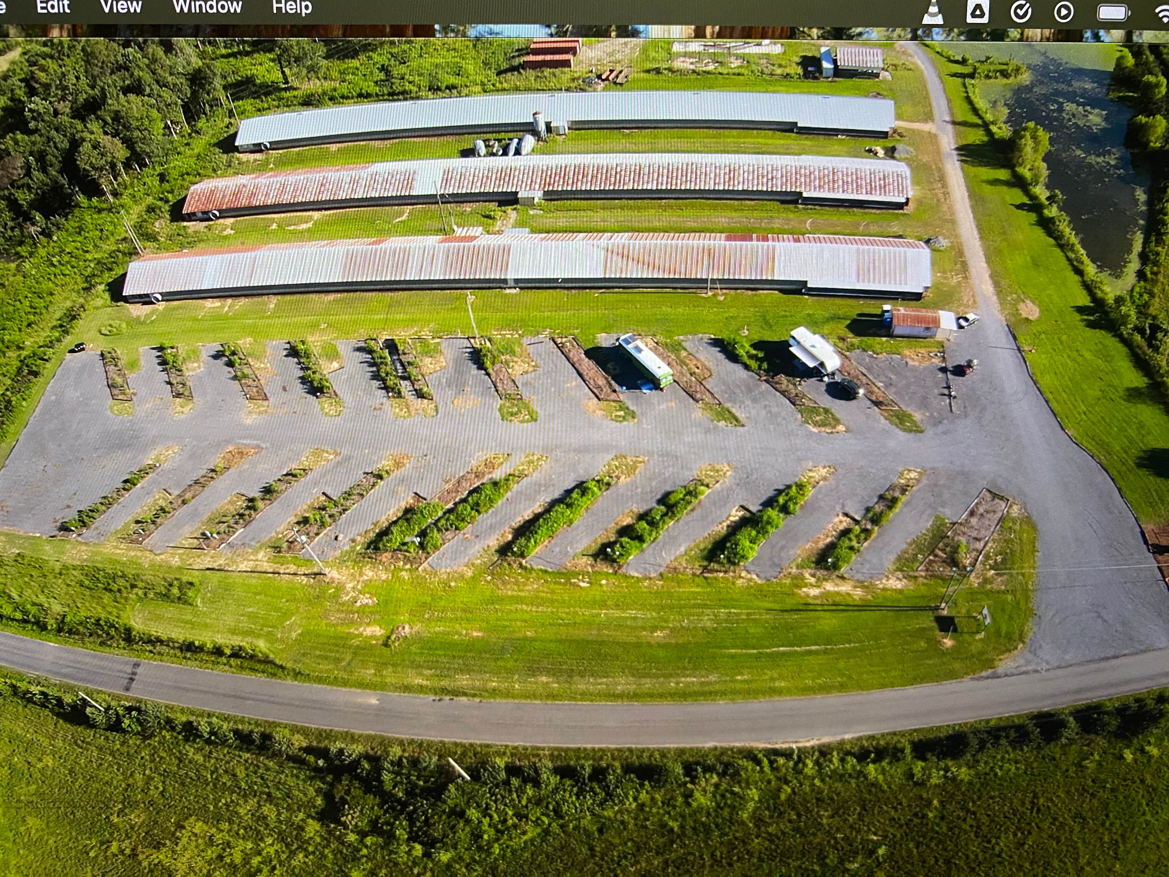 Camper-submitted photo at Turtle Pond RV and Farm near Baileyton, AL